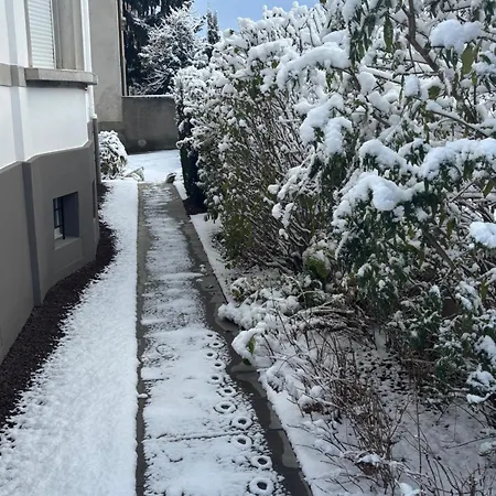 Bel Centre Climatise Parking Prive Colmar