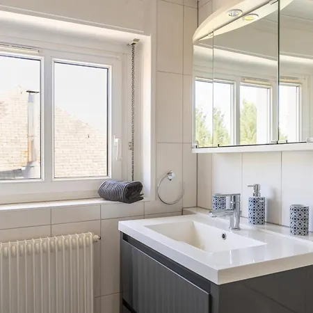 Bel Centre Climatisé Parking Privé * Colmar