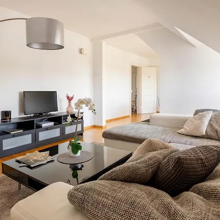 Bel Centre Climatisé Parking Privé Colmar