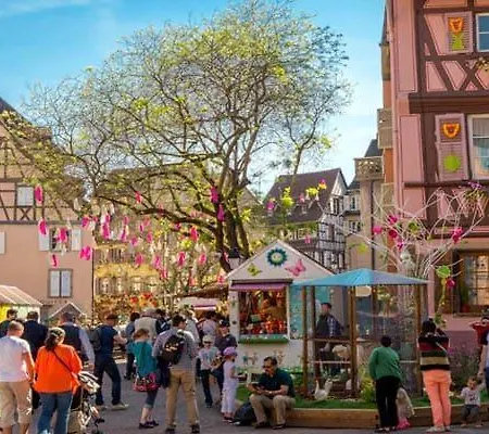 Bel Centre Climatise Parking Prive Apartman Colmar