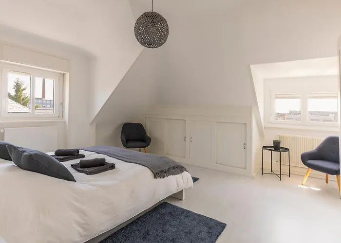 Appartamento Bel Centre Climatisé Parking Privé Colmar