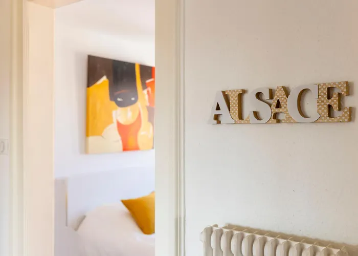 Appartamento Bel Centre Climatisé Parking Privé Colmar